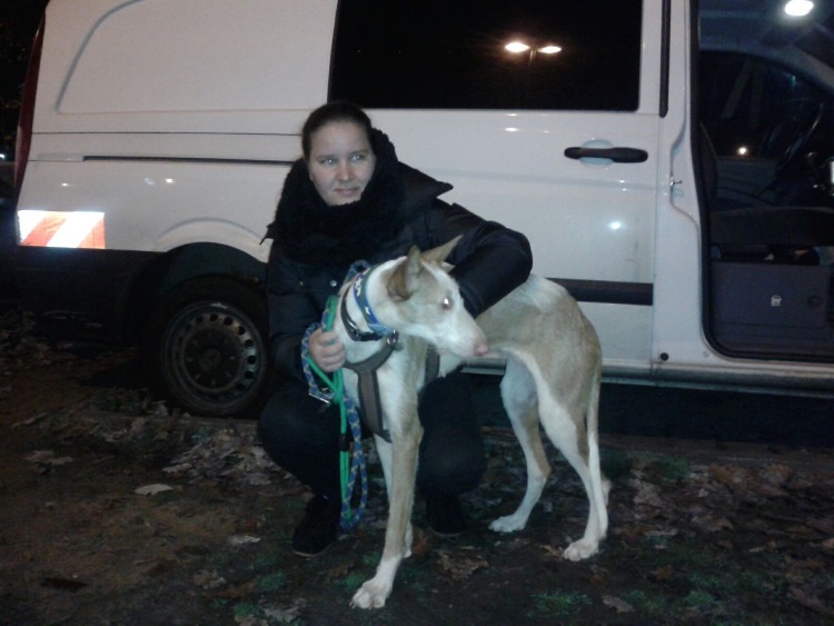 IMG-20151127-WA0038.jpg