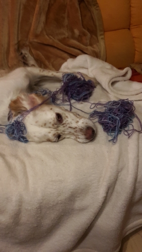 20151116_161741.jpg