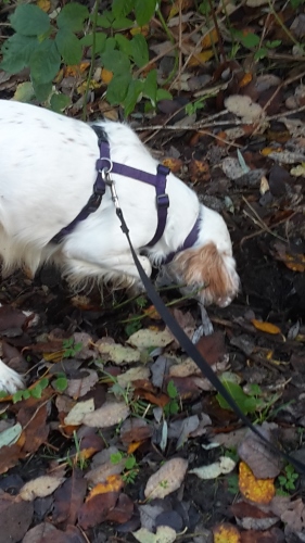 20151122_094344.jpg