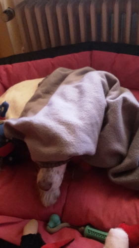 20151125_140357.jpg