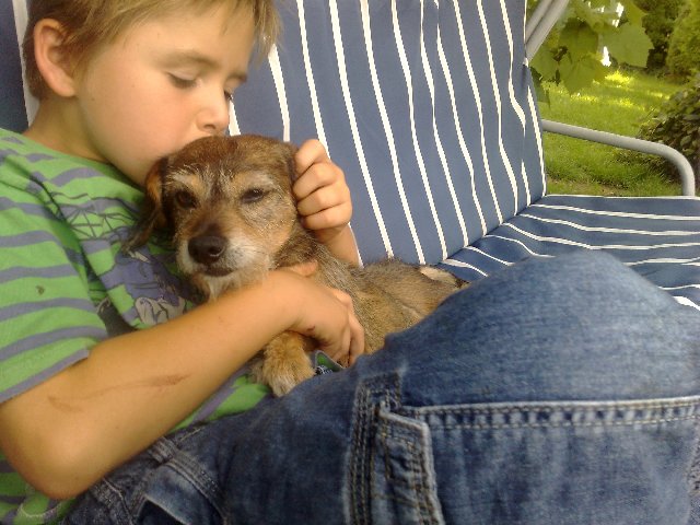 toby_344_640x480.jpg