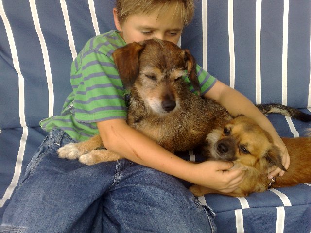 toby_338_640x480.jpg