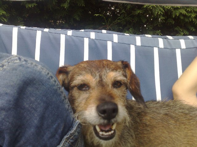 toby_362_640x480.jpg