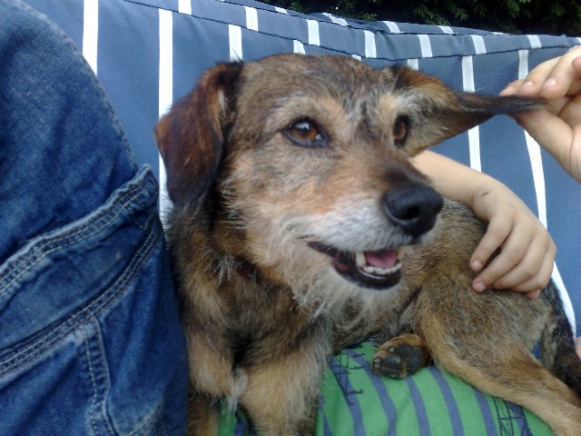 toby_368_640x480.jpg