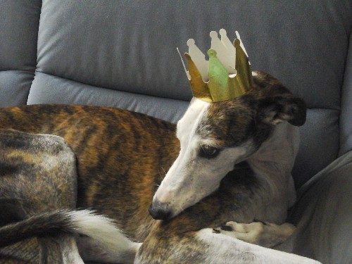 queenlola.jpg