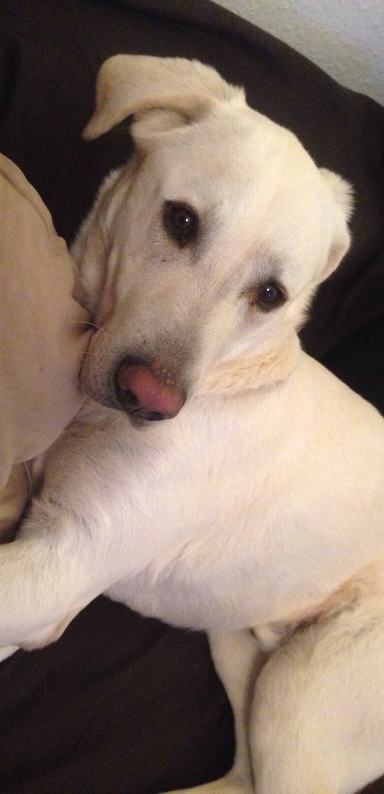 image.jpeg