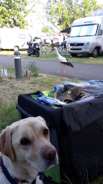 20150605_192439.jpg