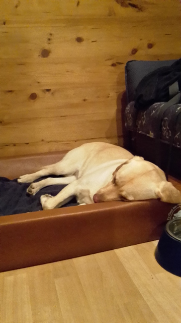 20150413_221913.jpg