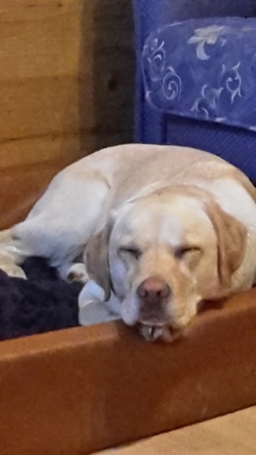 20150417_172902.jpg