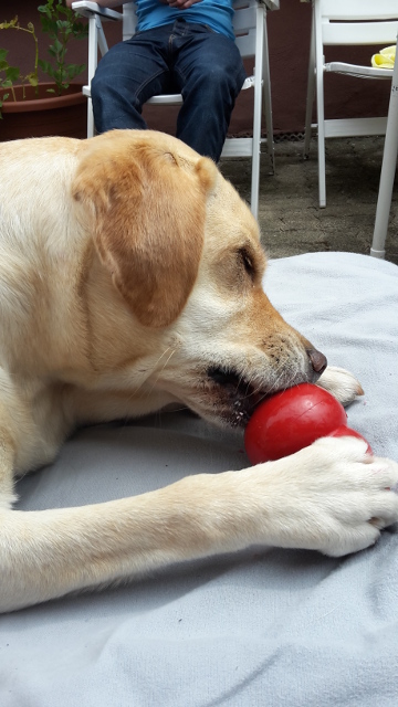 20150726_125044.jpg