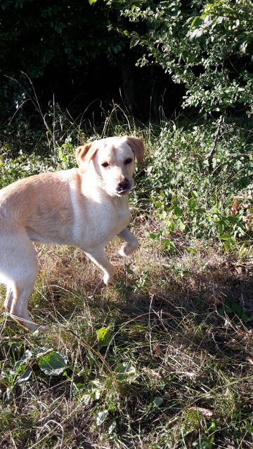 20150822_182057.jpg