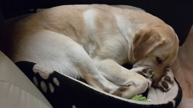 20151229_182008.jpg