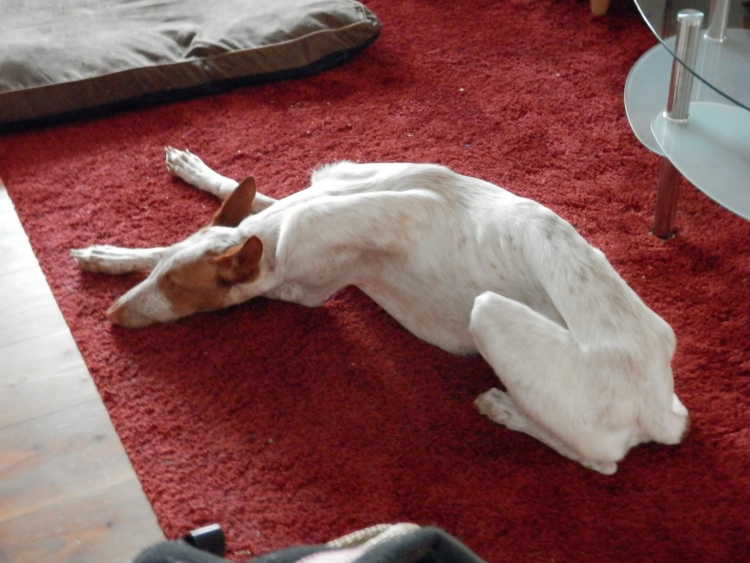 PC130020_2.jpg