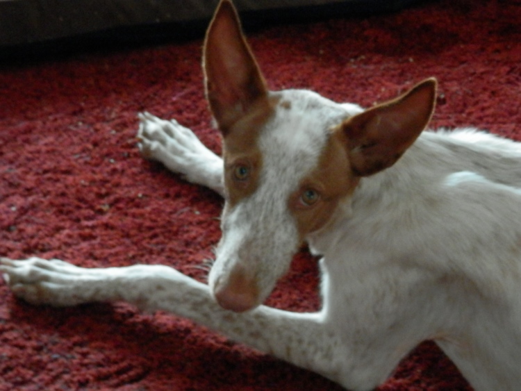 PC130022_2.jpg