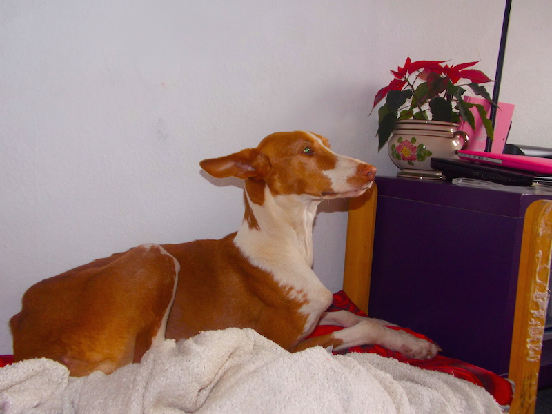 DSCN3867.JPG