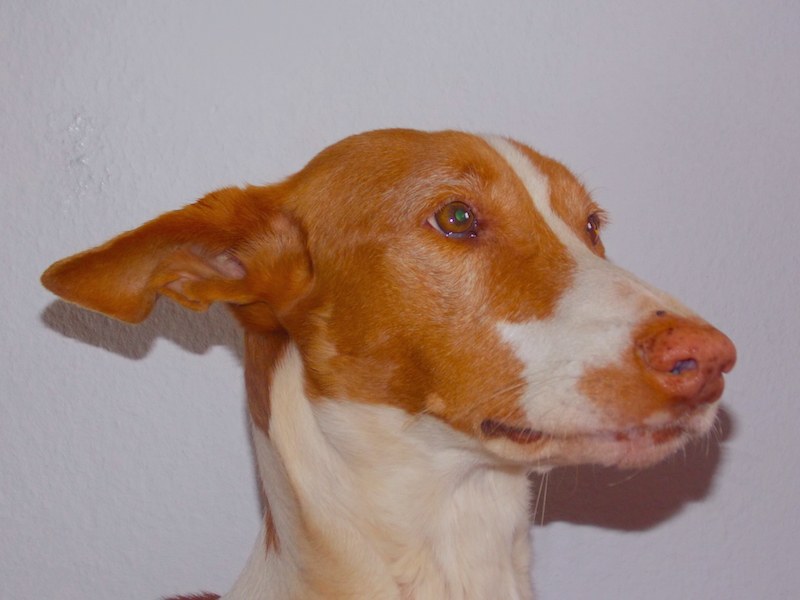 DSCN3869.JPG