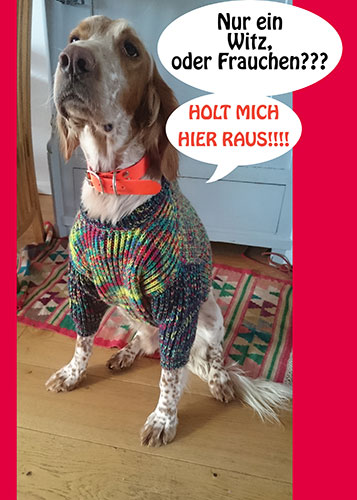 HaM_Milagro_Pulli.JPG