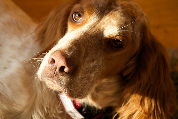 HaM_Milagro_PortraitSonne1.jpg