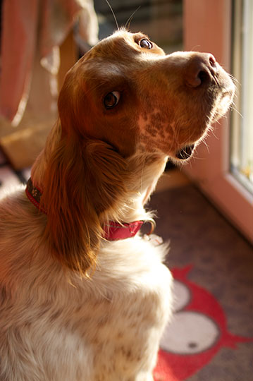 HaM_Milagro_PortraitSonne2.jpg