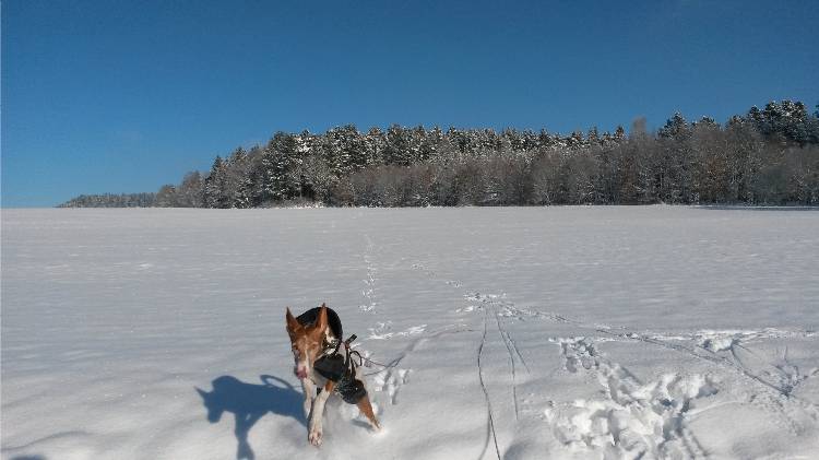 20160120_141406.jpg