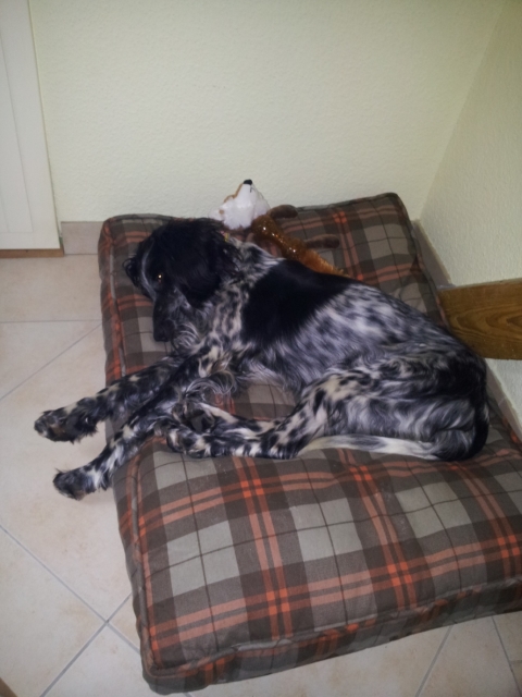 20160130_121835.jpg