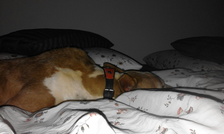 IMG-20160212-WA0040.jpg