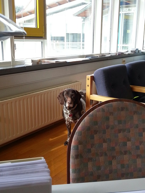 Tosca wartet.jpg