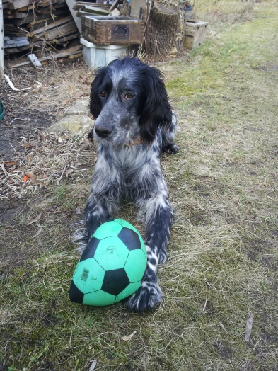 20160227_154104.jpg