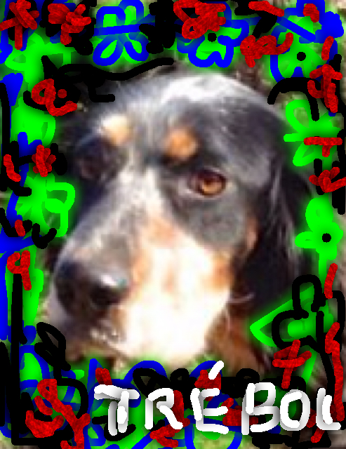 image.jpeg