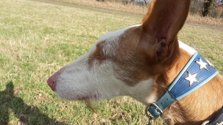 20160228_130832.jpg