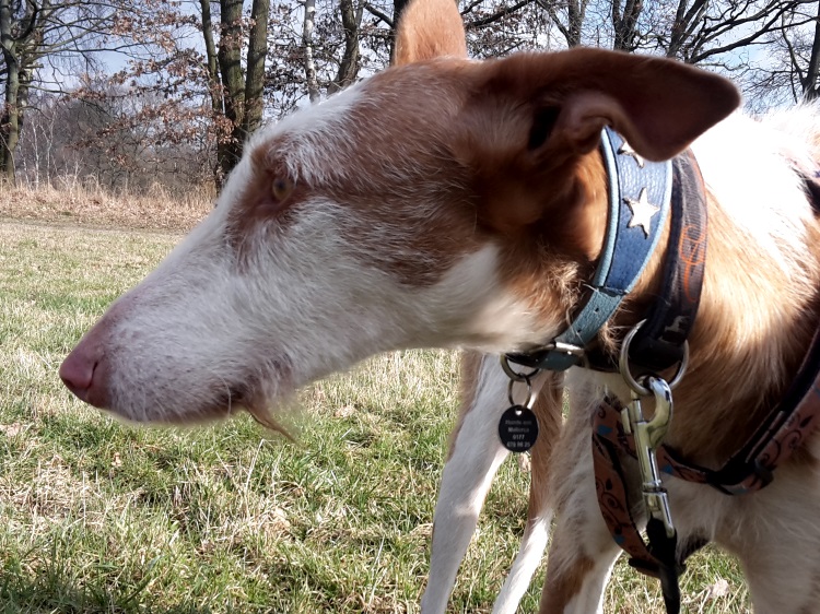 20160228_131029.jpg