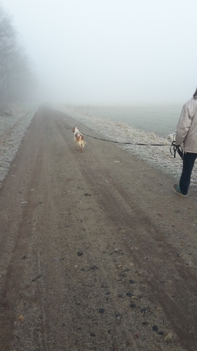 20160228_090549.jpg