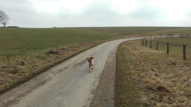 IMG-20160306-WA0017.jpg