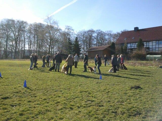 IMG-20160223-WA0004.jpg