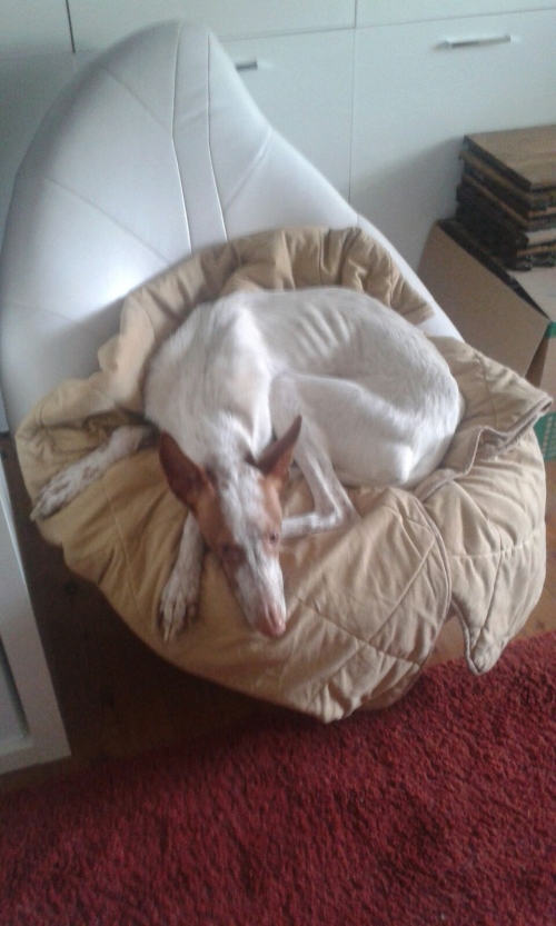 IMG-20160307-WA0058_2.jpg