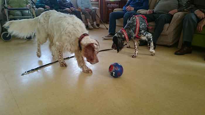 Oscar_StAnna032016_2.jpg