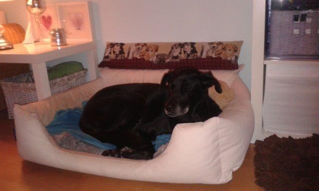 IMG-20160308-WA0056.jpg