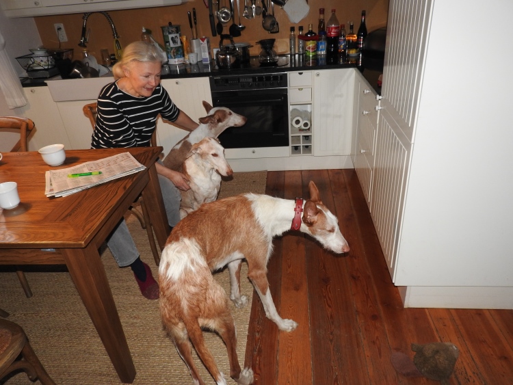 2 DSCN0477.jpg