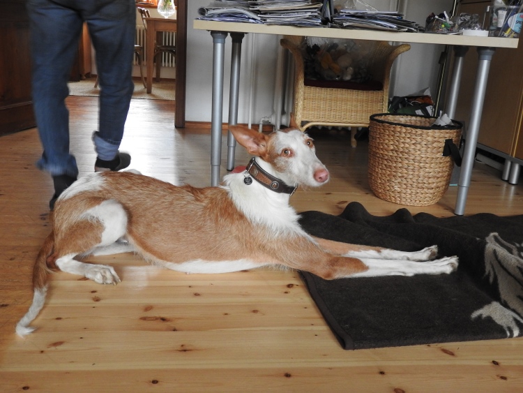 2 DSCN0511.jpg