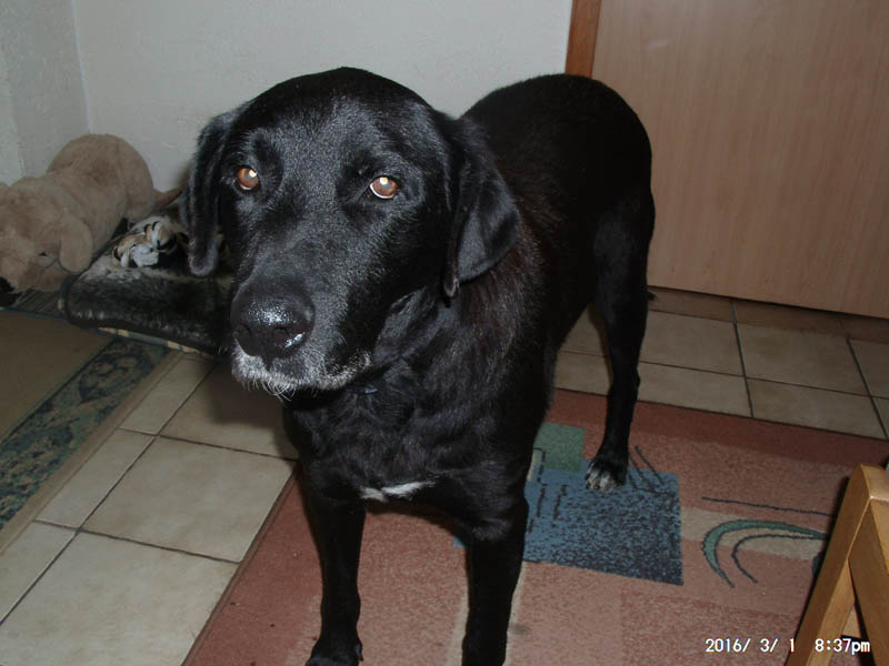 03010003Kopie.jpg