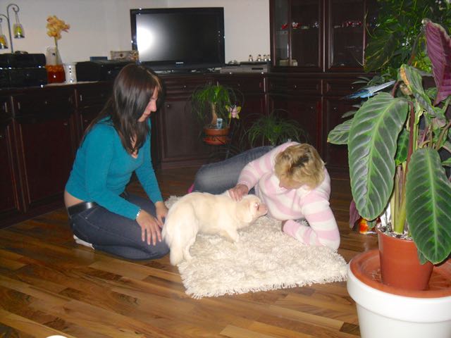 SDC11032.jpg