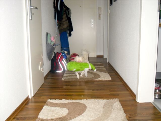 SDC11156.jpg