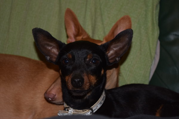 DSC_0002.jpg
