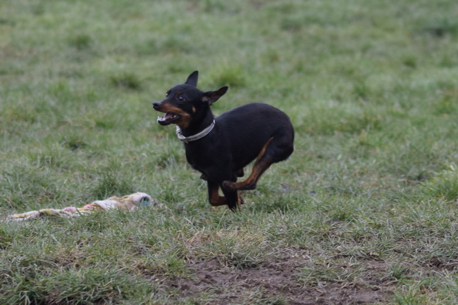 DSC_0071.jpg