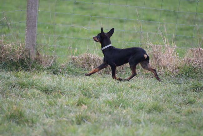 DSC_0098.jpg