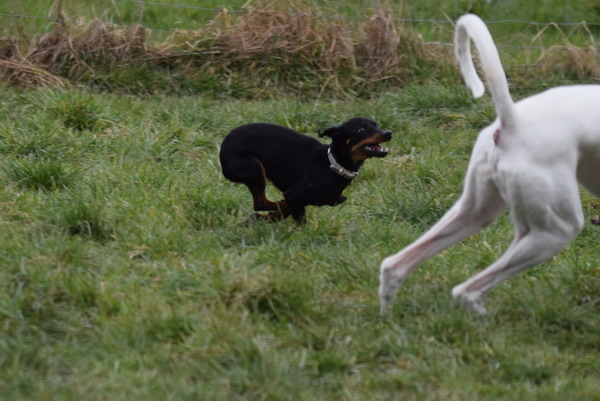 DSC_0085.jpg