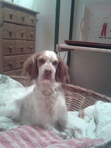 IMG-20160108-WA0003.jpg