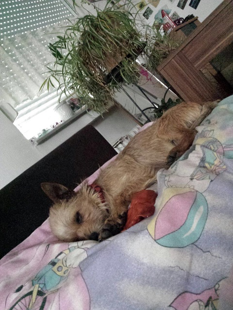 IMG-20160425-WA0008.jpg