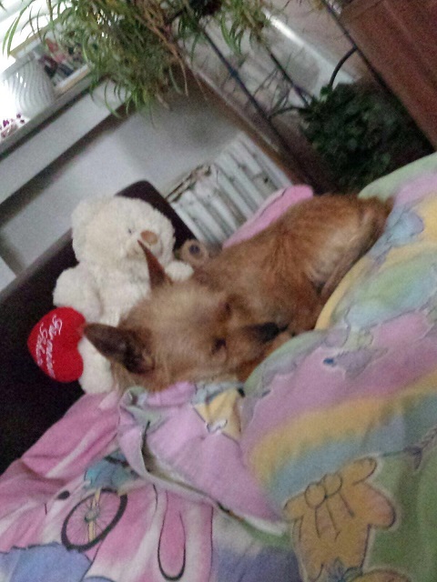 IMG-20160425-WA0012.jpg