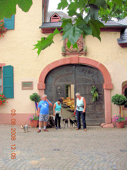 Spaziergang in Neumagen-Drohn an der Mosel